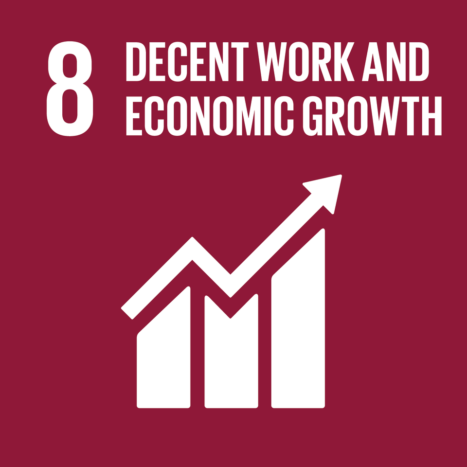 SDG 8 – Decent Work and Economic Growth: Job training programs by Shivram Samajik Vikas Sansthan